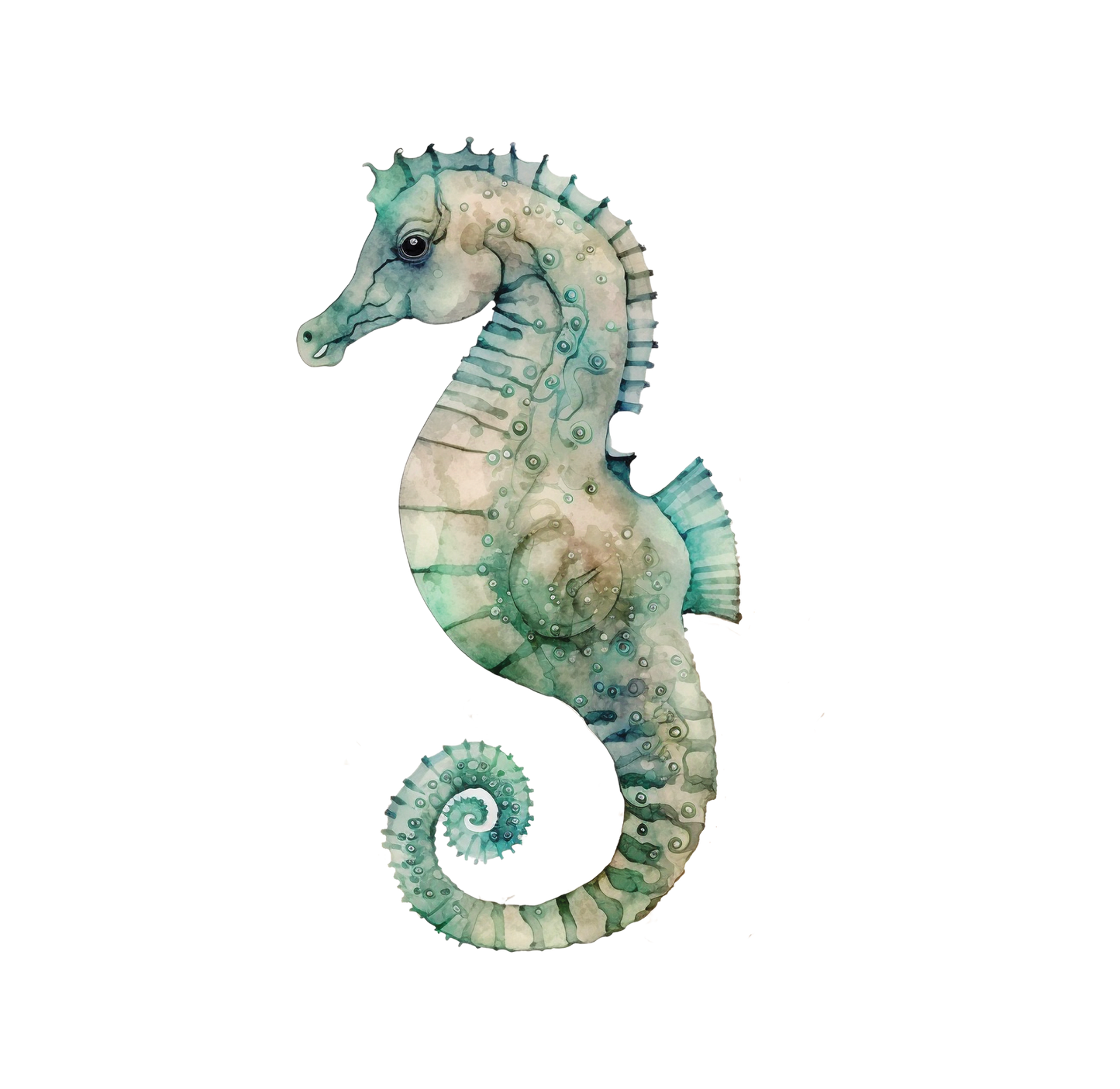 8" x 8" Sealife