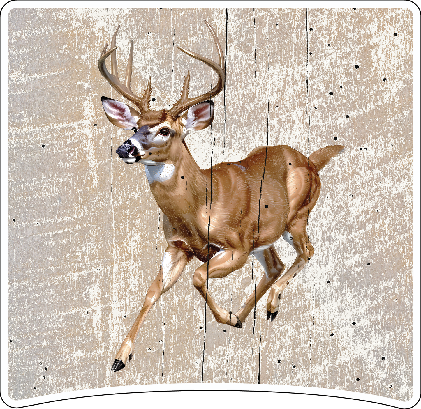 8" x 8" Deer