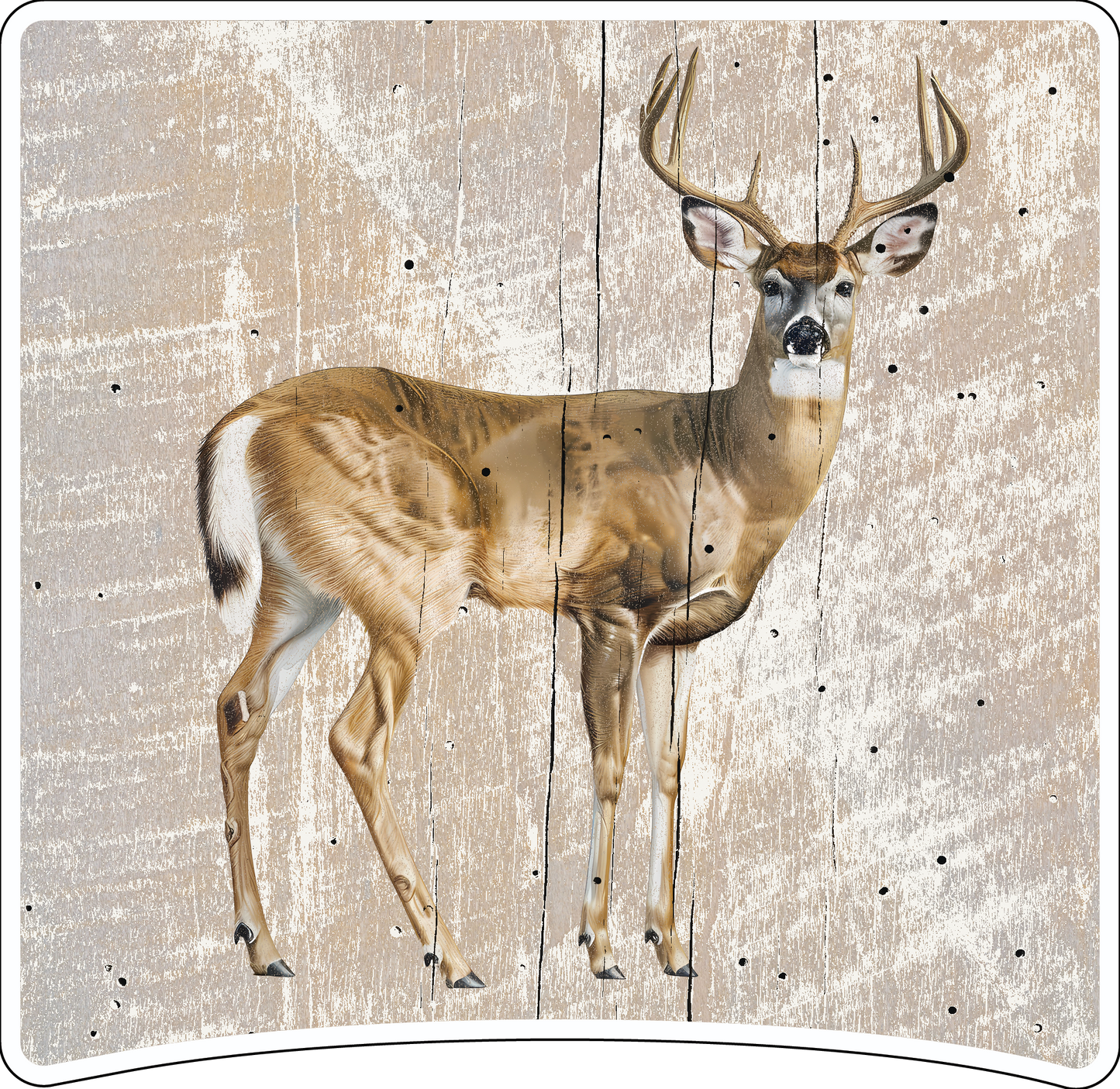 8" x 8" Deer
