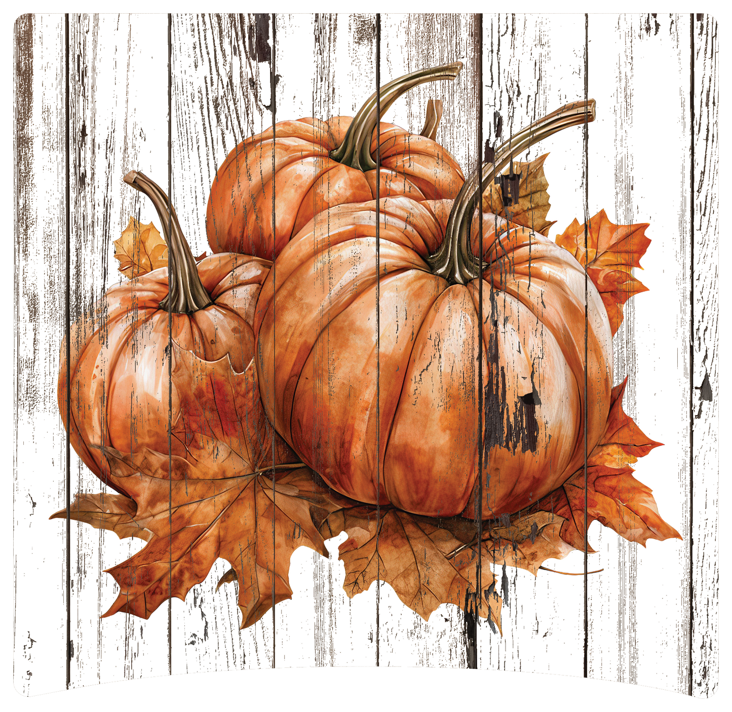 8" x 8" Pumpkins