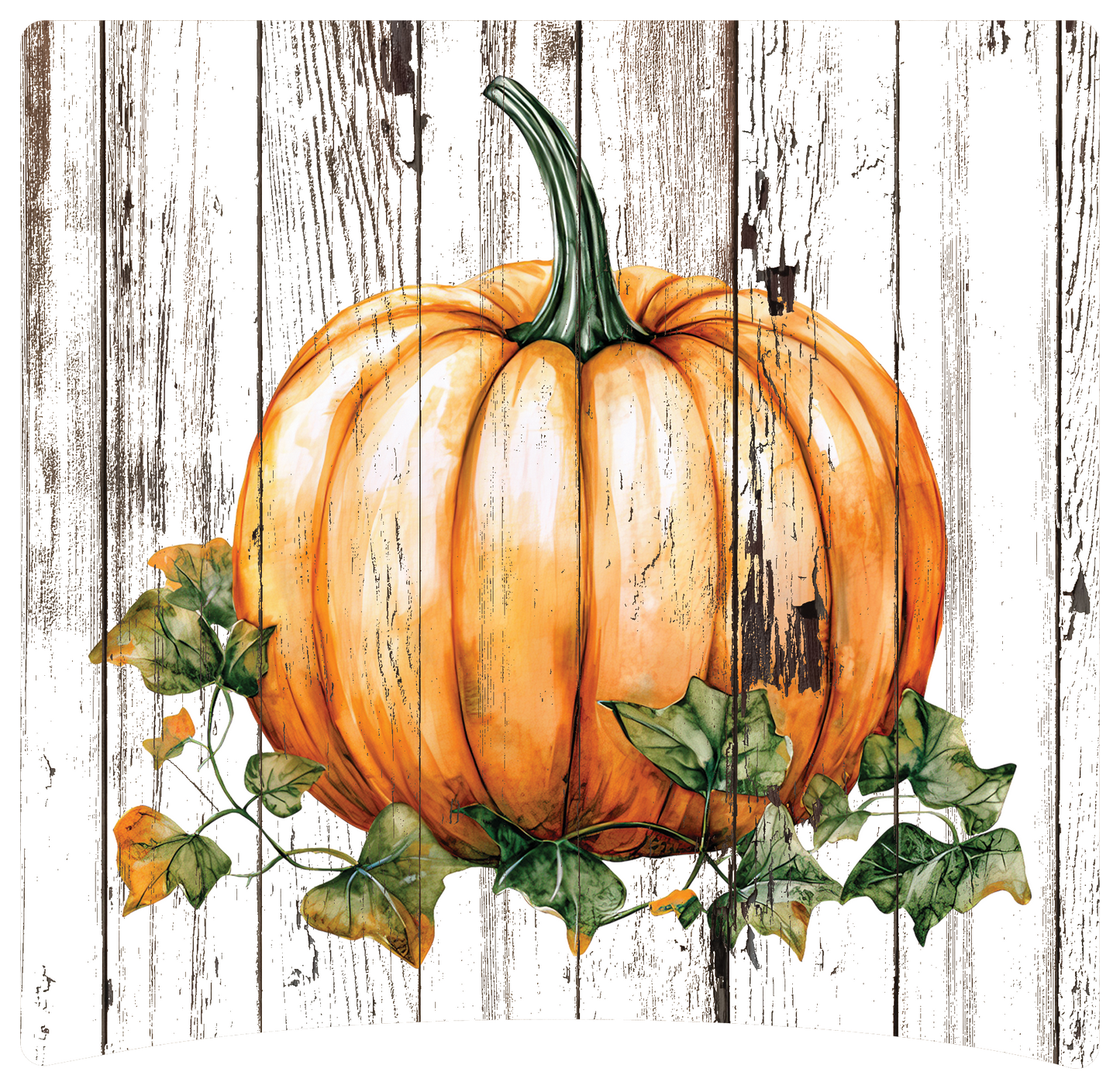 8" x 8" Pumpkins
