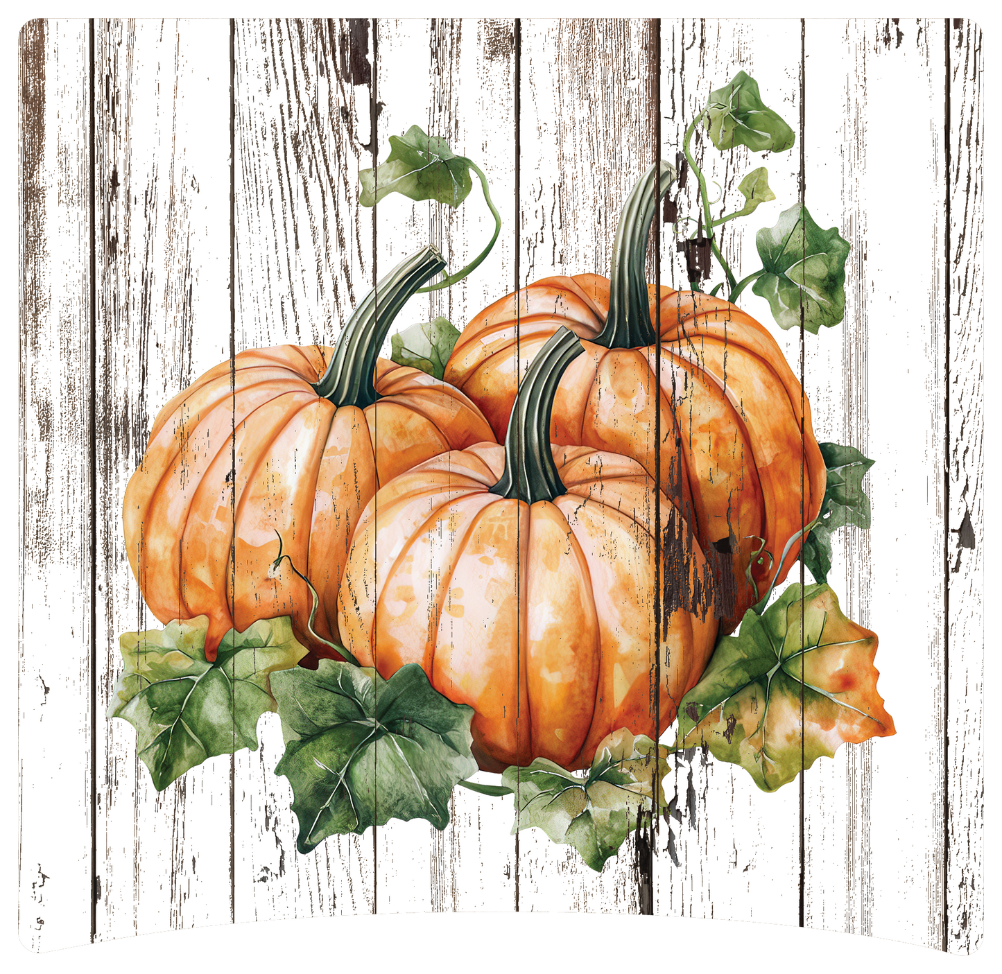 8" x 8" Pumpkins