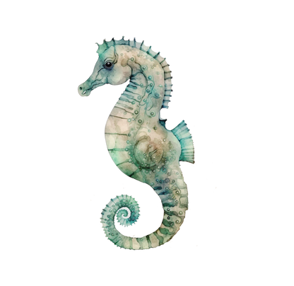 8" x 8" Sealife