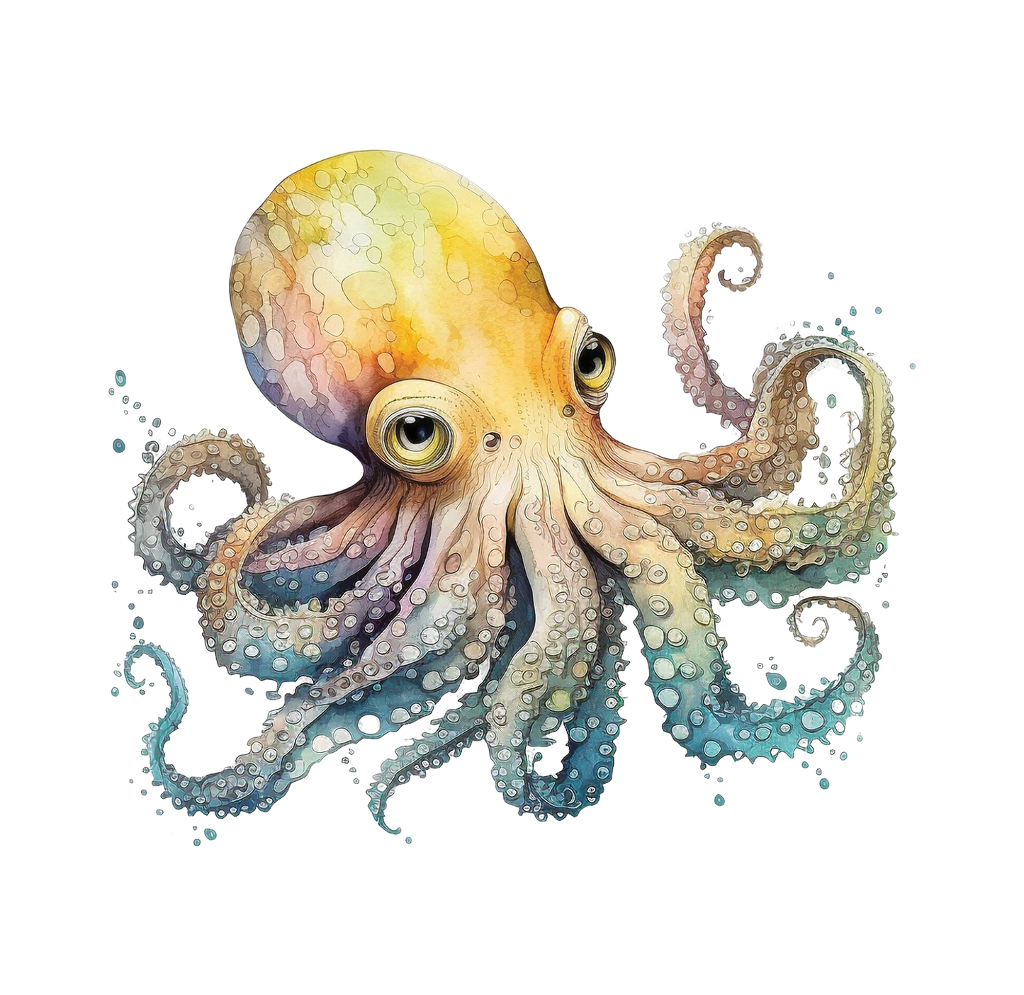 8" x 8" Sealife