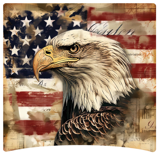 8" x 8" Eagle