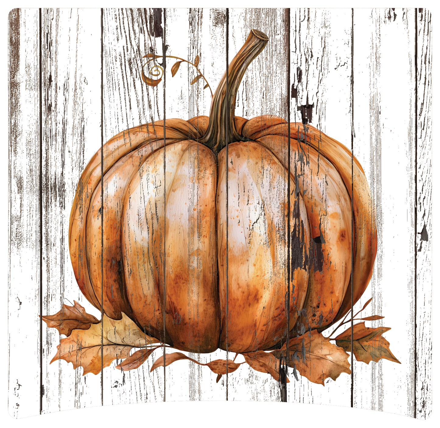 8" x 8" Pumpkins