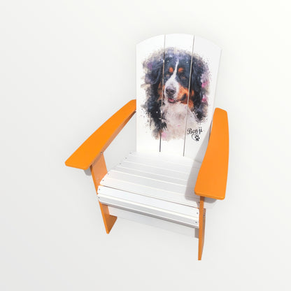 Interchangeable Chairback