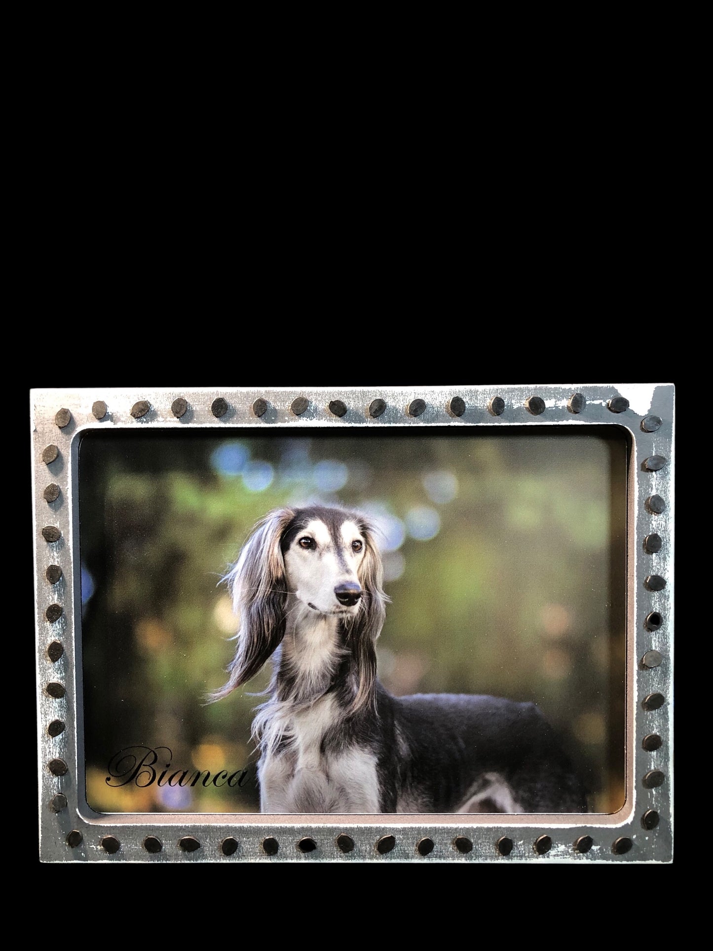 7" x 9" Custom personalized dog art with your dog's name in multiple versions