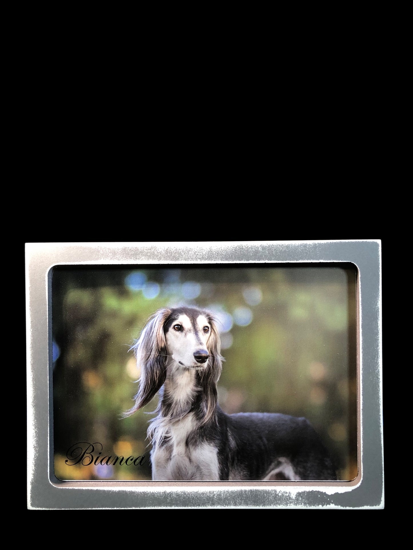 7" x 9" Custom personalized dog art with your dog's name in multiple versions