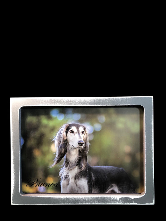 7" x 9" Custom Pet