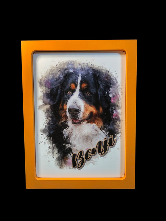 7" x 9" Custom Pet