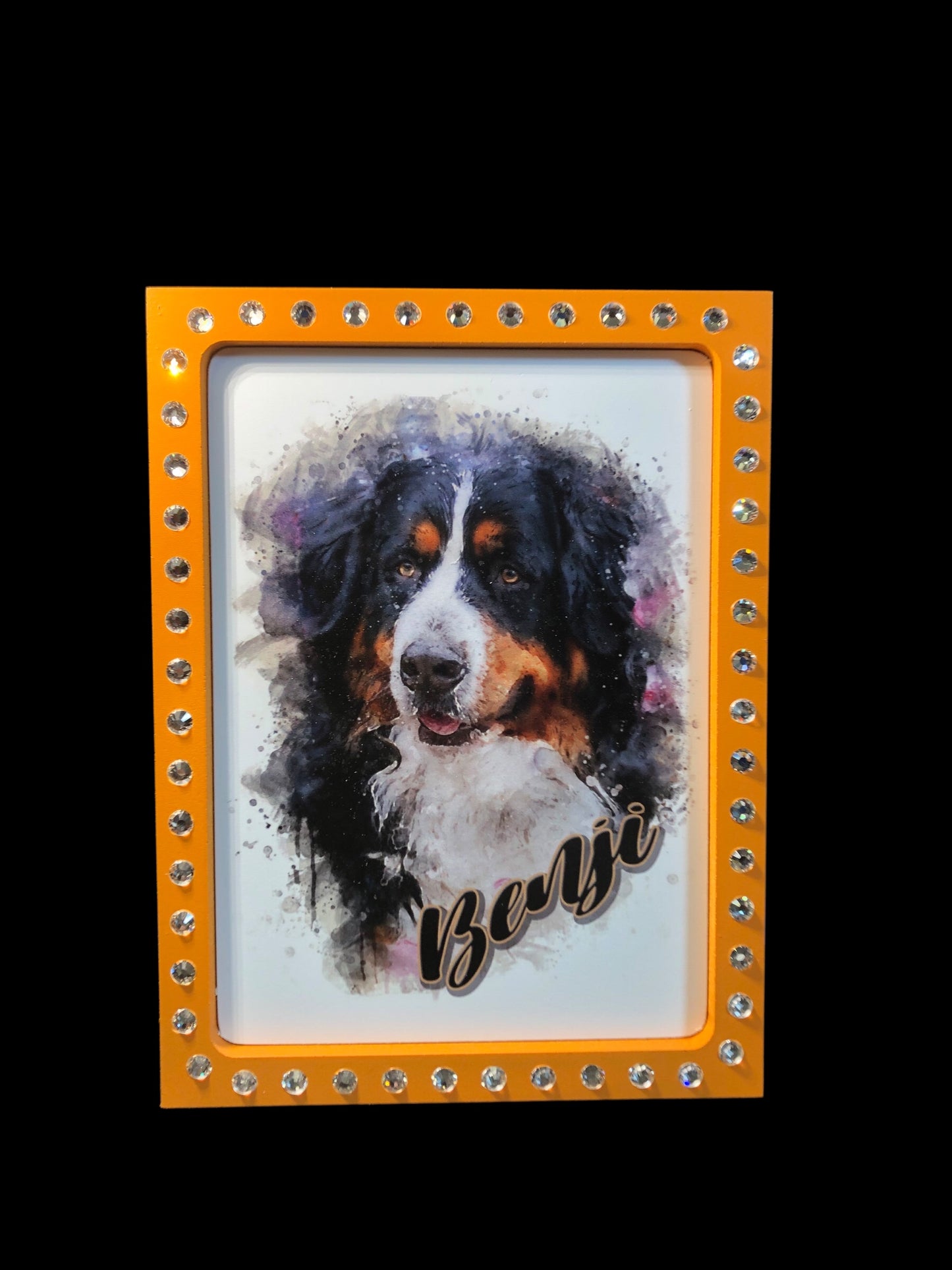 7" x 9" Custom Pet