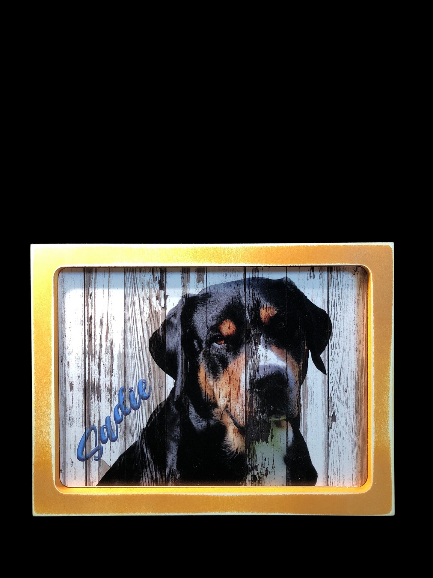 7" x 9" Custom Pet