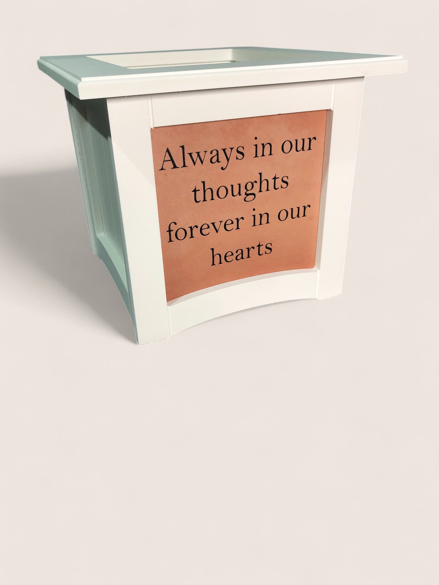 8" x 8" Plant Box